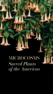 Microcosms Sacred Plants of the Americas - website header